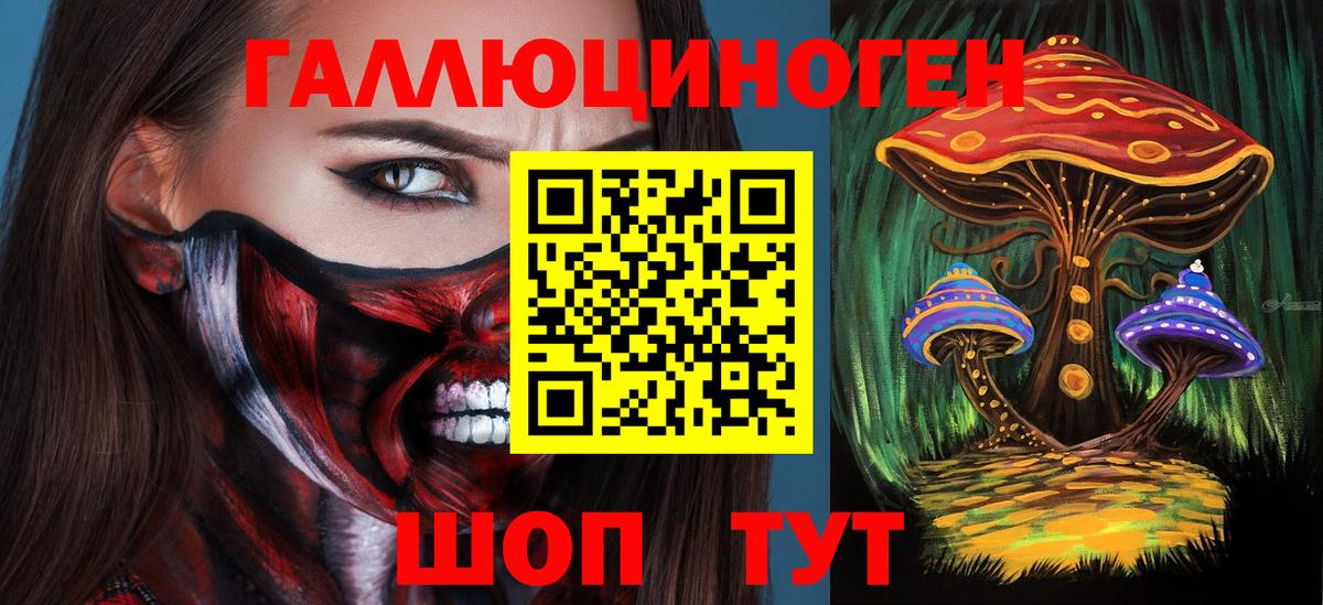 Хасавюрт  Псилоцибиновые грибы мухоморы  Вход с VPN  Галлюциногенные грибы мухоморы 